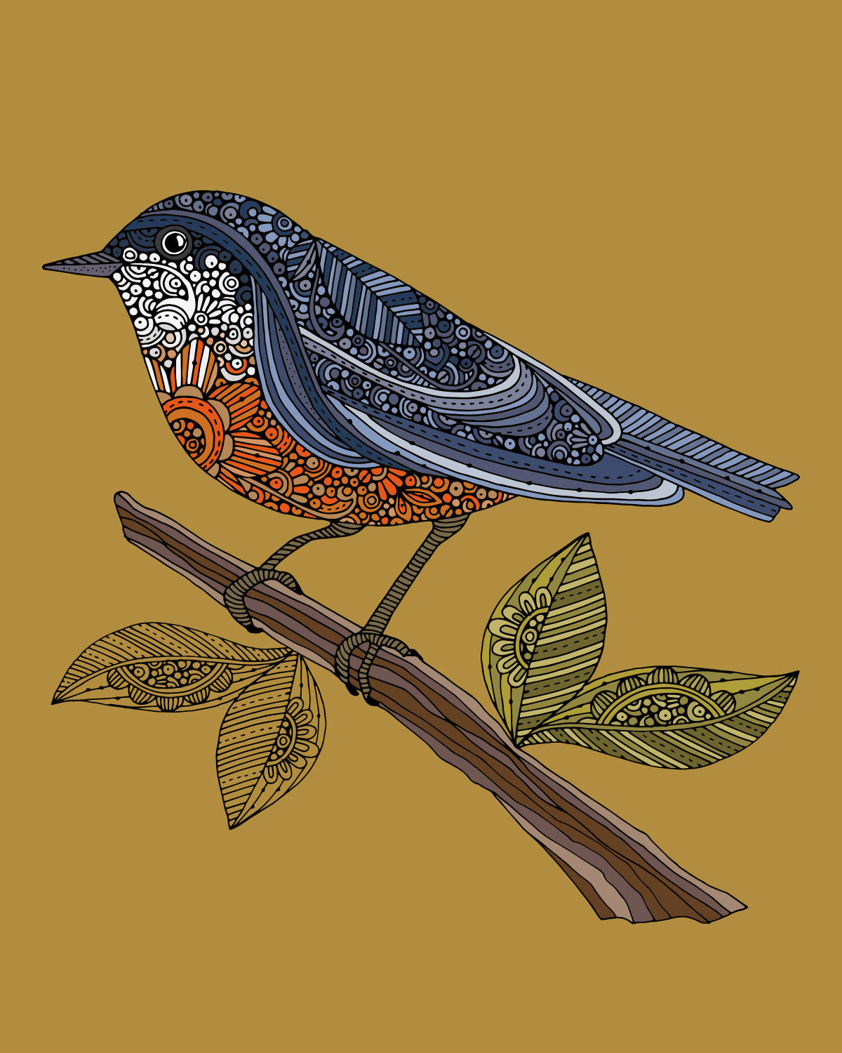 Maxine the Red-breasted Nuthatch
