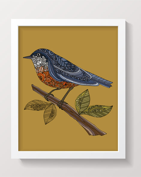 Maxine the Red-breasted Nuthatch