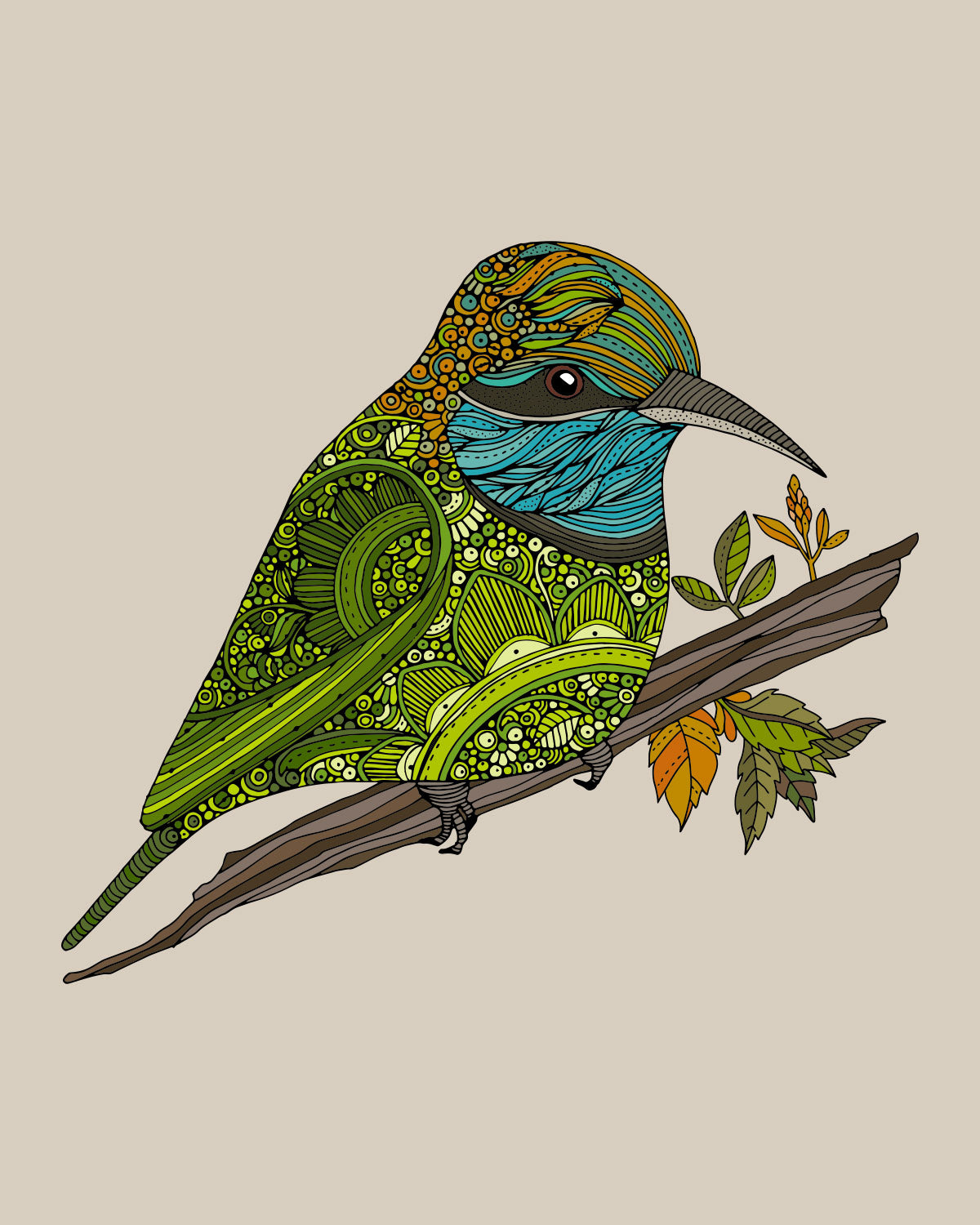 Paulo the Asian green bee eater