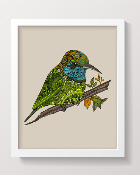Paulo the Asian green bee eater