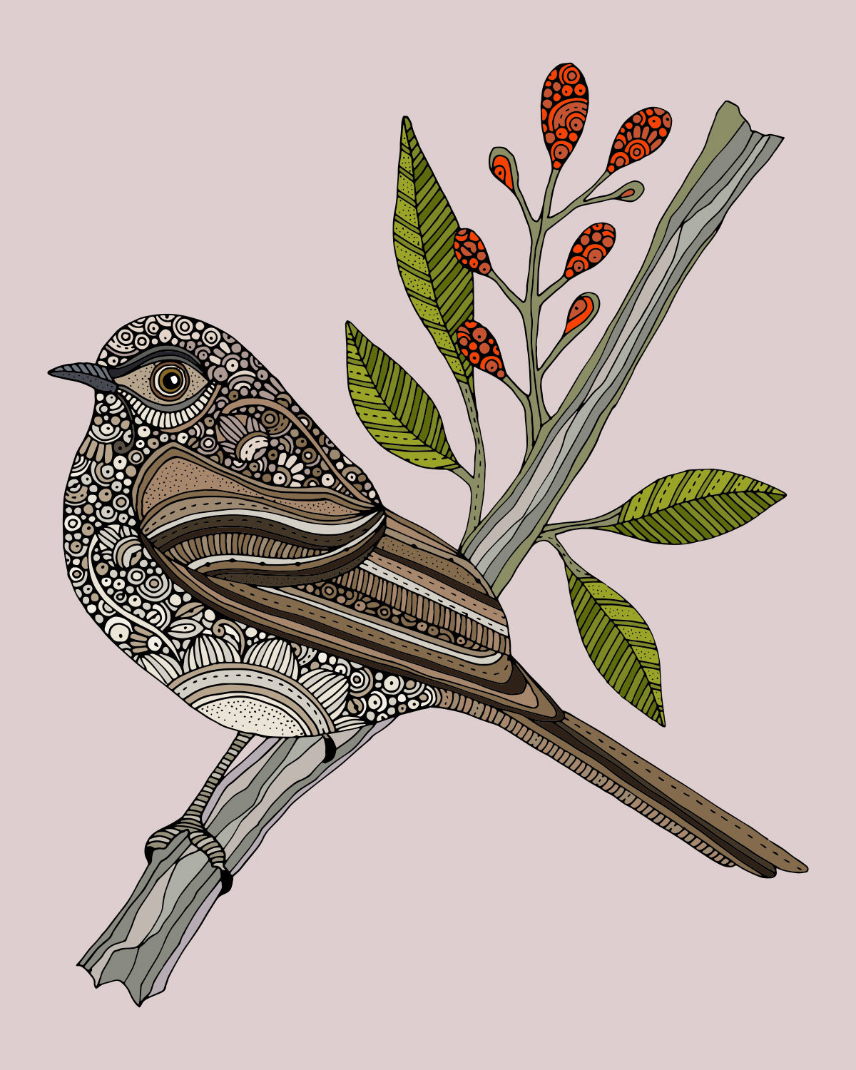 Paul the Northern mockingbird