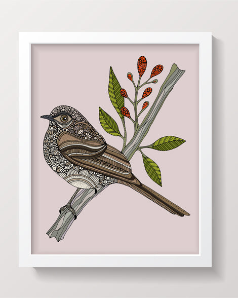Paul the Northern mockingbird