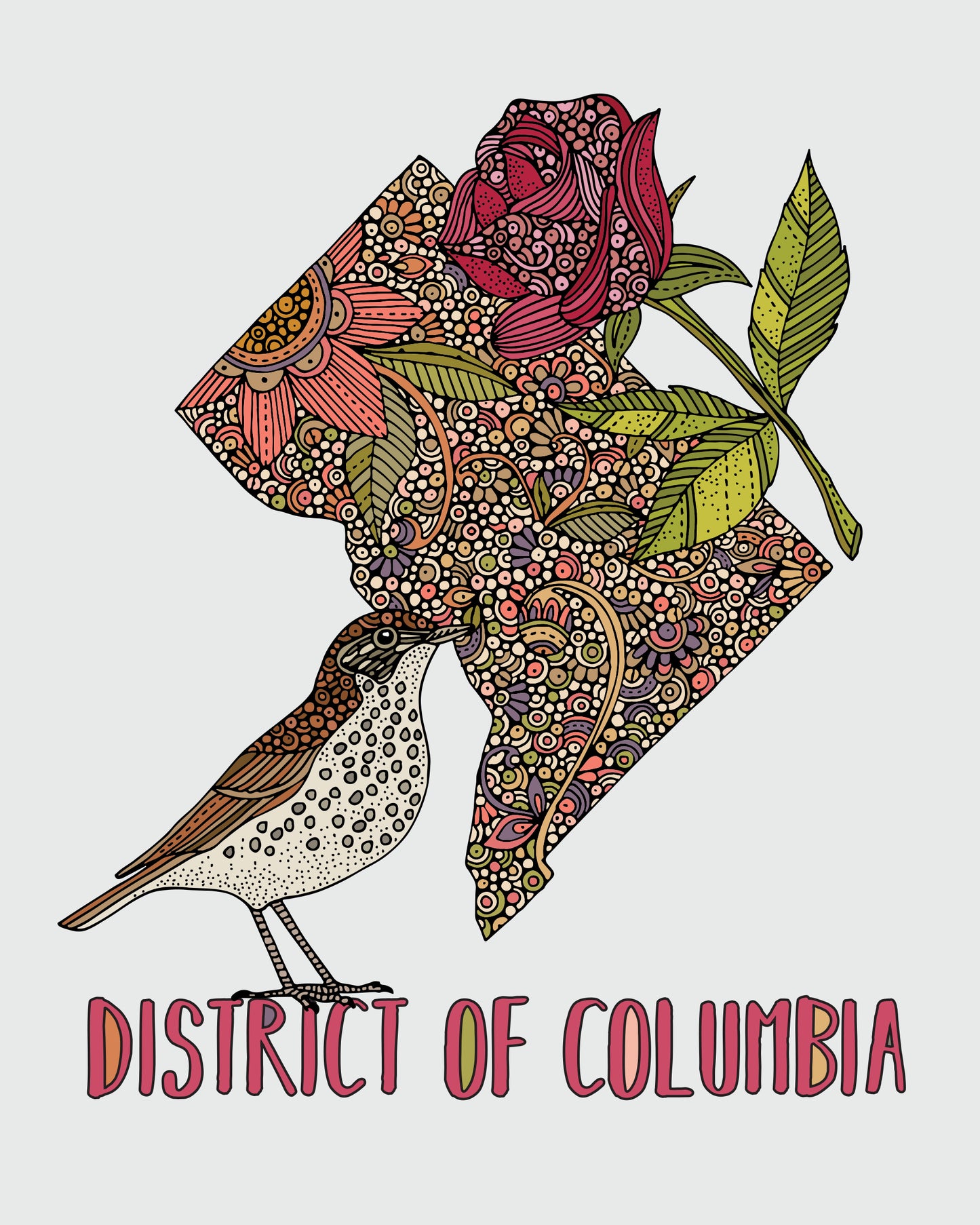 District of Columbia State Map - State Bird Wood Thrush- State Flower American Beauty Rose
