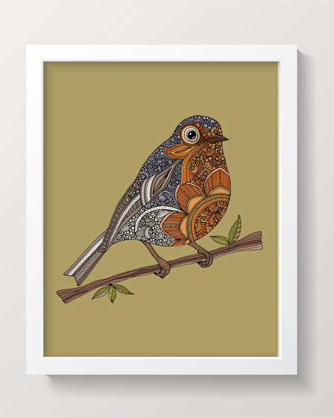 Isabella the robin