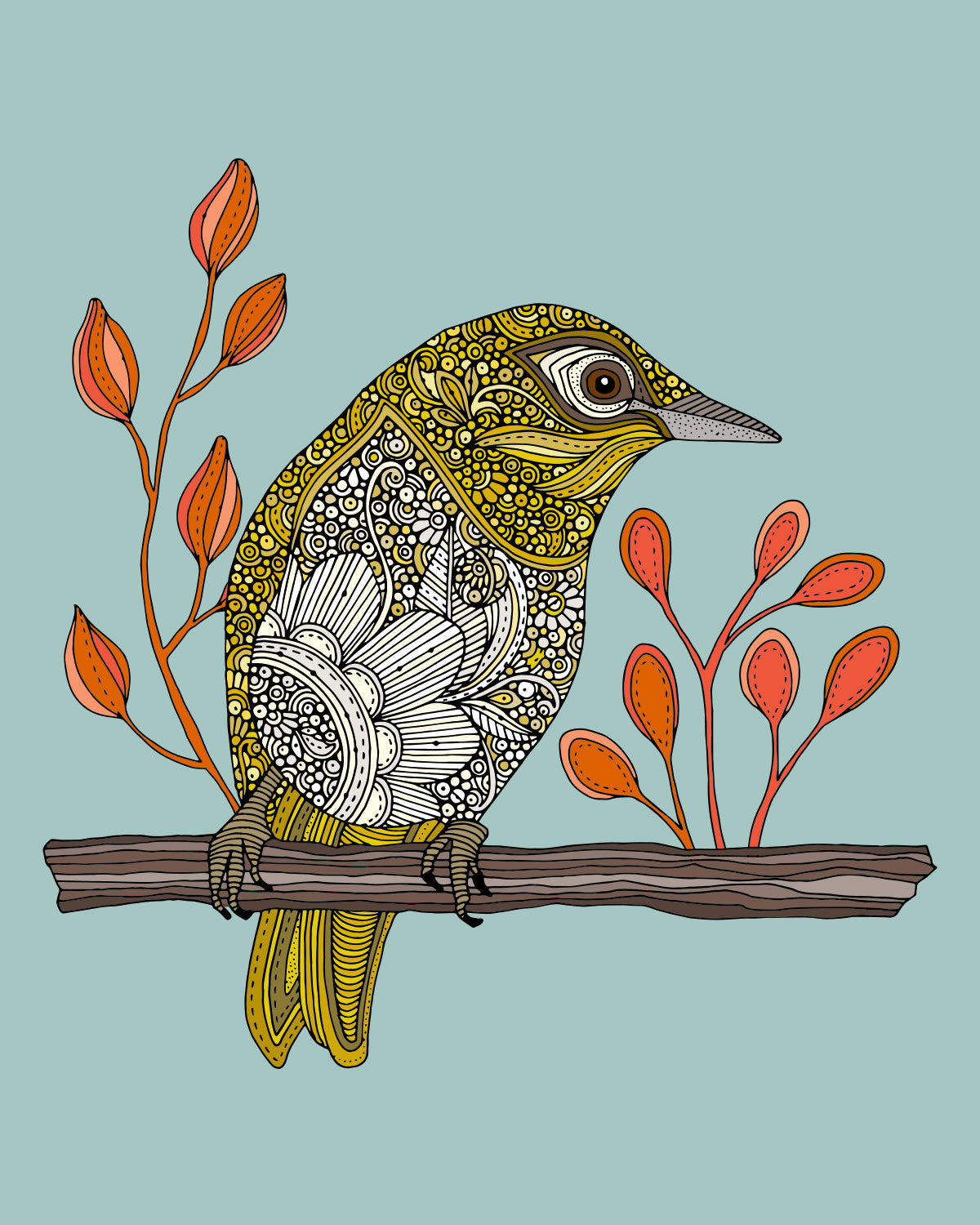 Jose the warbling white eye