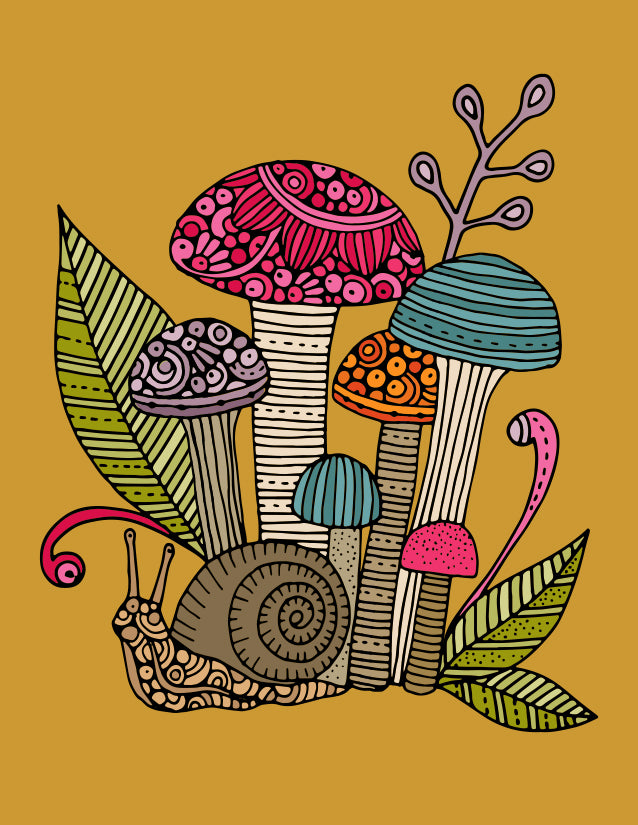 The mushrooms and the snail