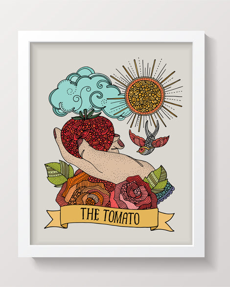 The Tomato