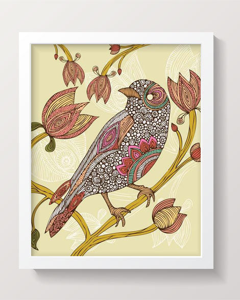 Anais the bird
