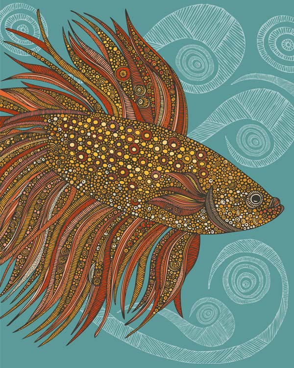 Beta fish