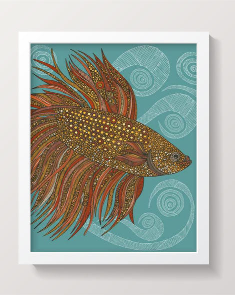 Beta fish