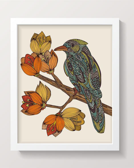 Bravebird