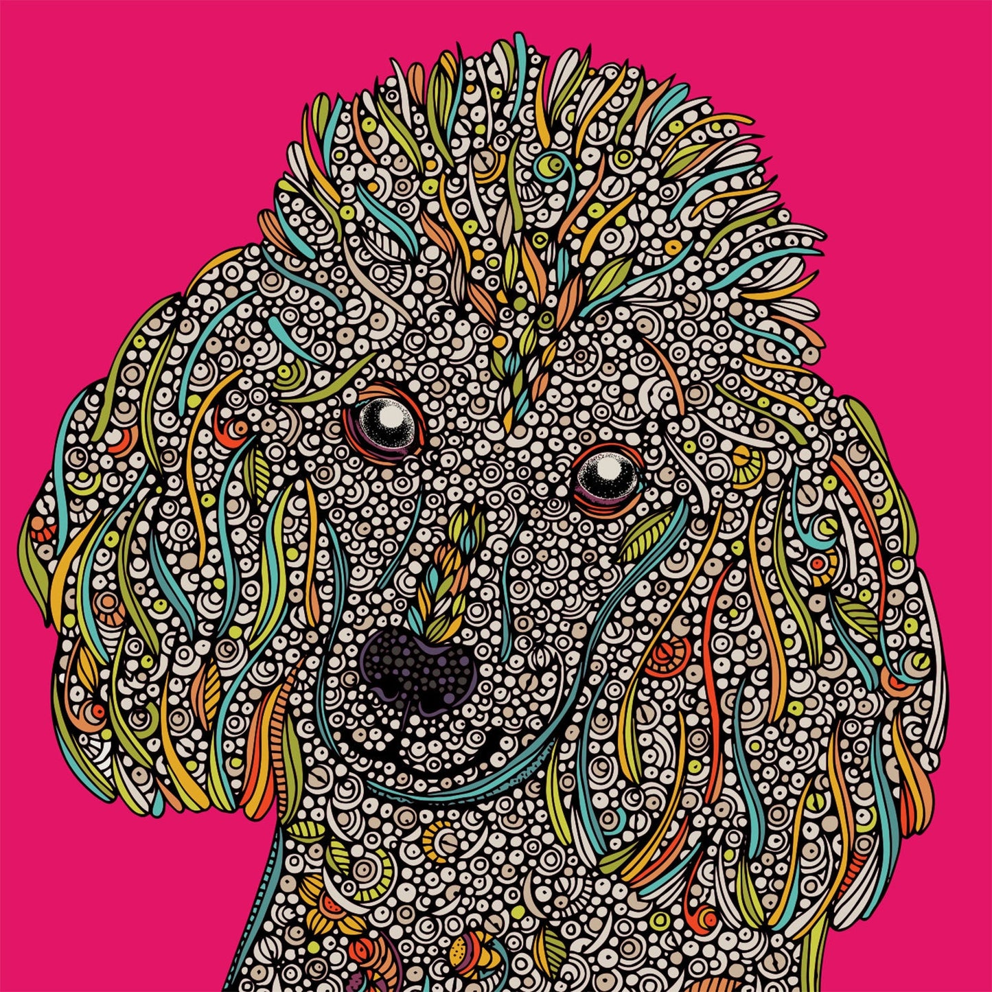 Vivi the Poodle Dog
