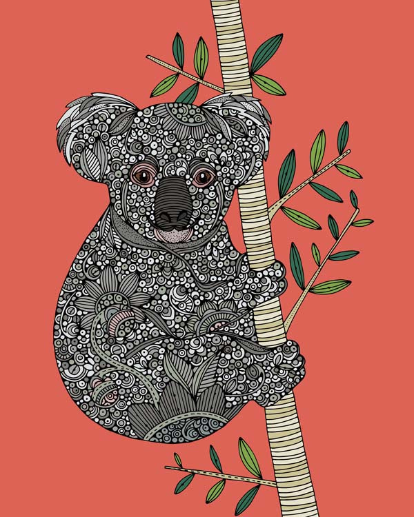 Koala