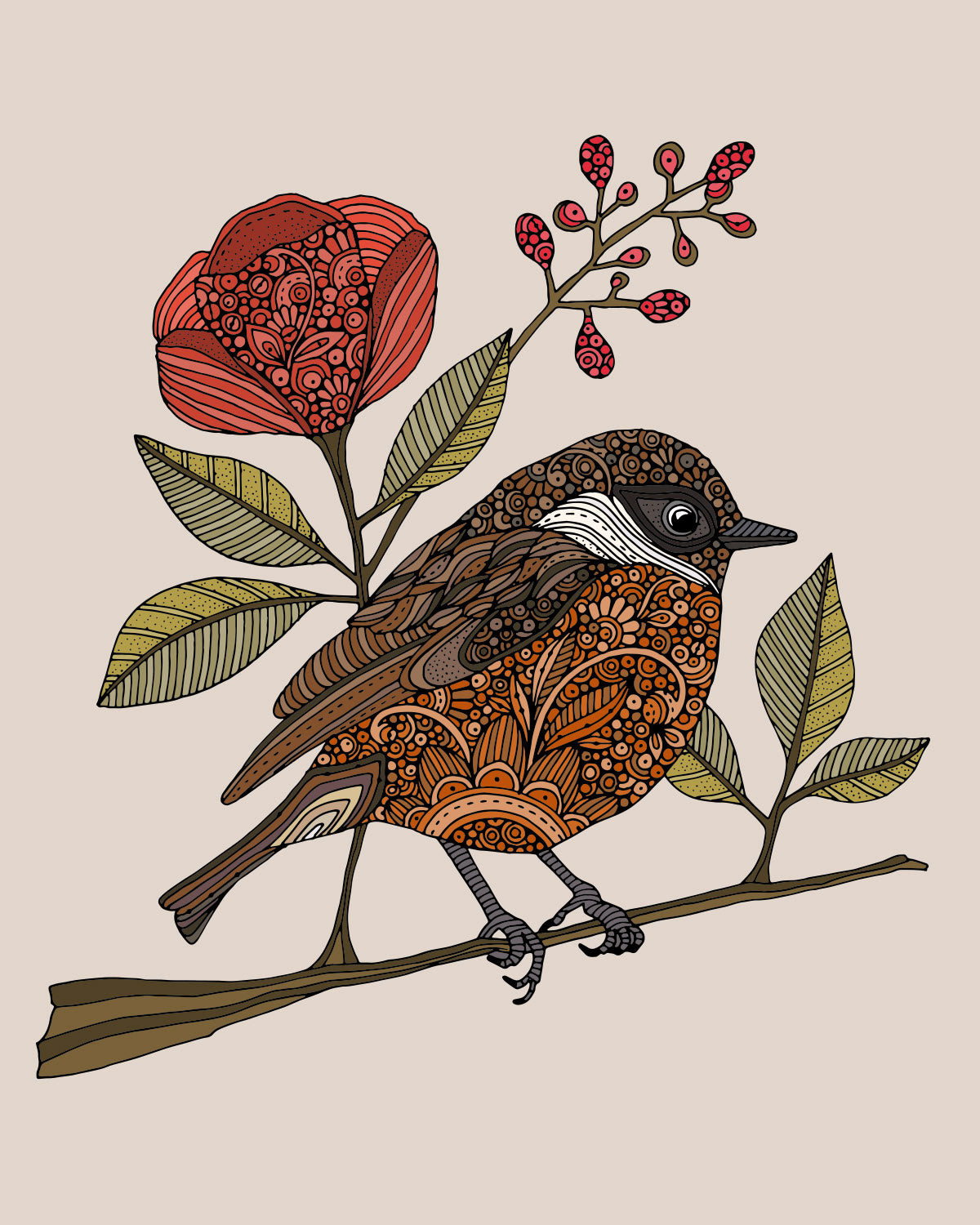 Ollie the european stonechat