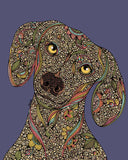 Roxie the dachshund Art Print