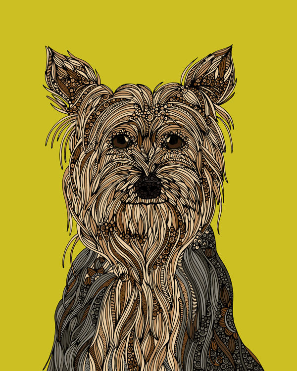 Yorkshire Terrier Art Print