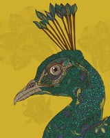 Alexis the peacock