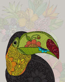 El tucán (the toucan)