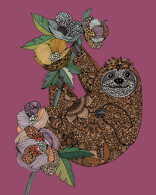 Little sloth