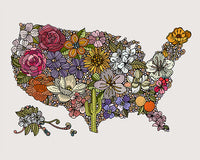 Land of the Free - Flowers