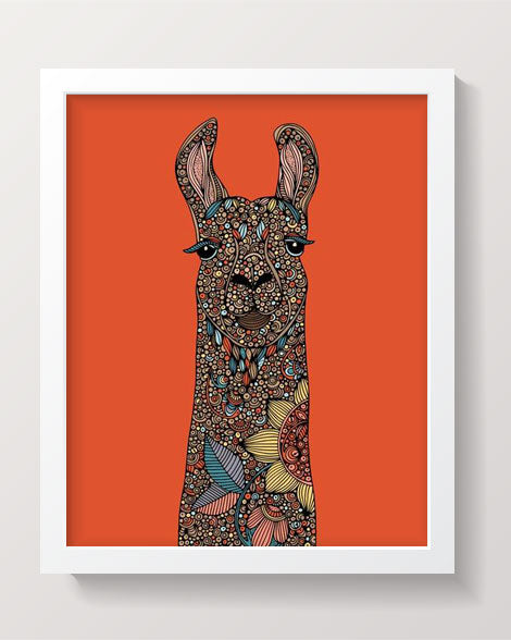 The llama. With orange background