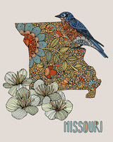 Missouri State Map