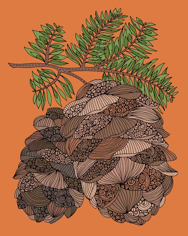 Pine cones