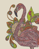Royal Flamingo